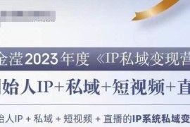 2023IP私域变现营系统课程 创始人私域IP打造运营变现实用攻略
