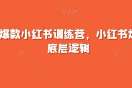 21天小红书爆款训练营 拆解内容起号与变现全流程底层逻辑