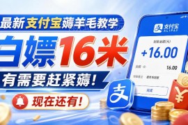 2024最新支付宝小额羊毛活动参与教程 可领取16元左右福利