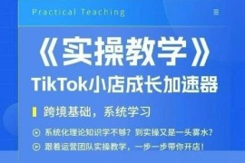 TikTok跨境小店实操全流程课程 从零起步手把手带你开店运营