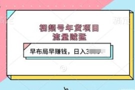 2024视频号年货直播带货项目详解 提前布局即可获取高额收益