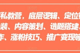 小红书运营私教营教程 从起号定位到涨粉变现全流程教学