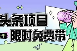 AI头条项目从注册到变现保姆式教学 零基础可上手实操