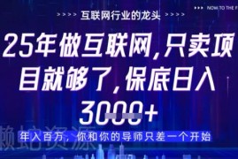 2025年网创创业新风向 卖项目比做项目更稳妥的盈利逻辑详解