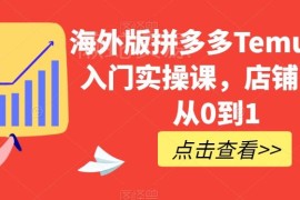 海外版拼多多Temu从0到1开店实操课 全流程运营入门指南