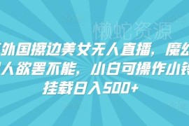 快手海外擦边美女无人直播玩法 小白挂载小铃铛可日入500+