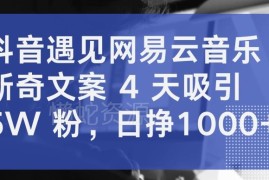 抖音结合网易云音乐做新奇文案 4天涨5万粉日入过千玩法揭秘