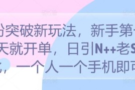 2024S粉引流变现新玩法 新手单人单手机操作首日即可开单