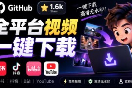 1.6k星开源下载器Videdown 支持抖音小红书B站等多平台无水印下载