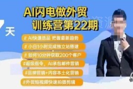 AI闪电做外贸训练营第22期 AI选品建站获客全流程实操教程