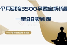 2个月引流3500精准孕婴宝妈 单客88元高转化项目实操拆解