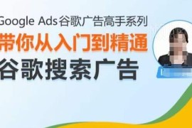 Google Ads谷歌搜索广告从入门到精通 投放优化全流程实操教程