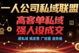 一人公司高客单私域运营攻略 强人设打造及发售实操指南