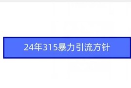 2024年315暴力引流实操教程 从工具准备到变现涨粉全流程