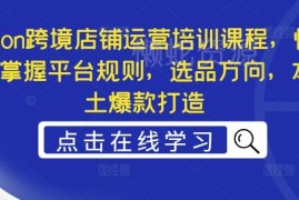 Ozon跨境店铺运营系统教程 掌握平台规则选品逻辑及爆款打造方法