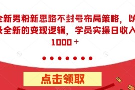 男粉引流不封号布局策略 低门槛高收益实操变现全攻略