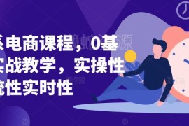 0基础淘系电商实战系统课程 覆盖运营全流程实操教学