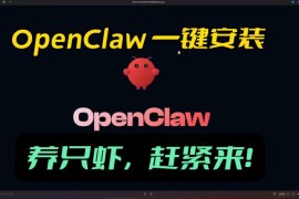 OpenClaw全流程安装教程及配套资料分享 10分钟即可完成部署