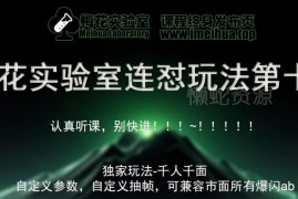 梅花实验室社群专享课 视频号连怼玩法第十期FF助手爆闪AB教程