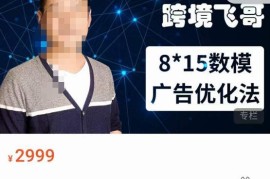 跨境飞哥广告优化高阶课第二十三期 8*15数模优化法实操教程