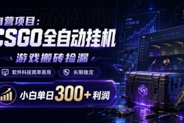 CSGO全自动饰品搬砖捡漏项目揭秘 小白上手单日可获300+利润