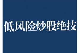 2024低风险股票实操营教程 股票入门投资实操系统学习资料