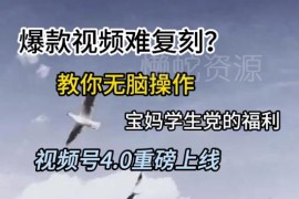 视频号4.0低门槛玩法指南 适合宝妈学生的轻量副业操作教程