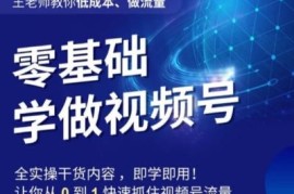 零基础学视频号0-1运营方法 低成本起号抓取微信生态流量红利