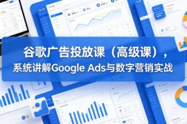 2024更新谷歌广告高级投放课 系统学习Google Ads数字营销实战