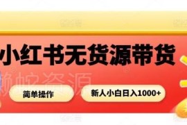 小红书无货源带货全流程攻略 新手小白零门槛上手实操指南