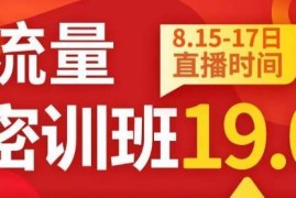 秋秋线上流量密训班19.0 中小卖家电商流量破局实操课程