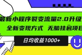 2024升级版小程序广告变现项目 小白易上手日均稳定收益千元