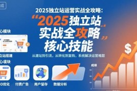 2025独立站运营实战全攻略 全链路核心技能系统学习指南