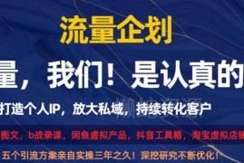 打造个人IP放大私域持续转化 5种可实操高效引流玩法详解