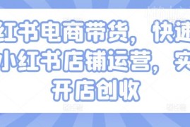 小红书电商店铺运营全流程教程 从开店到带货创收实操指南