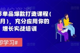2024新版拼多多单品爆款打造教程 电商运营实战培训课程