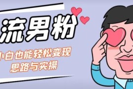 男粉引流及网盘拉新变现实操 小白可上手完整玩法教程