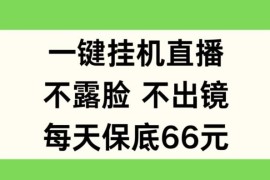 不露脸挂机直播项目操作教程 零基础可做单日保底收益66元