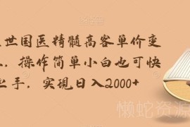 国医精髓高客单价变现项目全解析 零基础小白可快速上手增收
