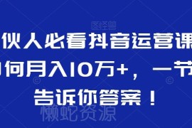 合伙人必看抖音运营教程 掌握涨粉变现核心方法提升账号收益