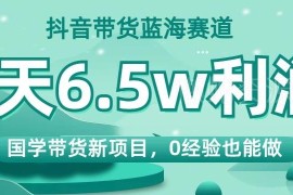 抖音国学带货蓝海赛道完整玩法拆解 0经验可上手盈利空间大