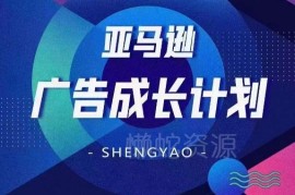 亚马逊广告成长系统教程 掌握矩阵搭建实现流量多元降本增效