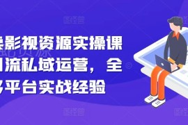 影视资源引流私域运营实操课 多平台引流变现全流程教学