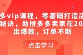 2025拼多多零基础运营课程 新手从0打造爆款店铺实操课