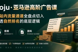 亚马逊高阶广告课程 拆解站内流量通道讲透自然排名底层逻辑