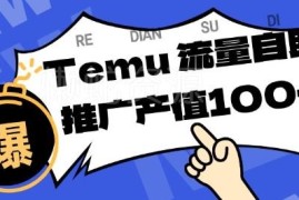 面向Temu商家的精准曝光服务项目 单机日入80-130玩法揭秘