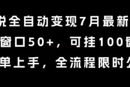 2024年7月小说全自动变现玩法 单窗收益50+支持百窗批量操作