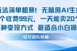 99元定制款轻副业玩法拆解 单日可卖20单适合小白操作