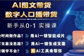 2024年AI图文与数字人口播带货从0到1全流程实操课