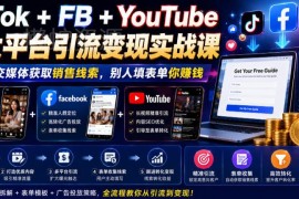 TikTok、FB、YouTube三大平台引流获客 CPA表单变现实战课程